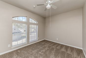 Ceiling fan